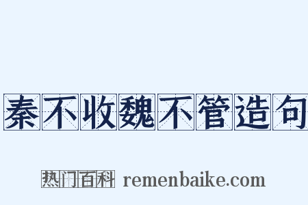 秦不收魏不管造句是什么意思的图片